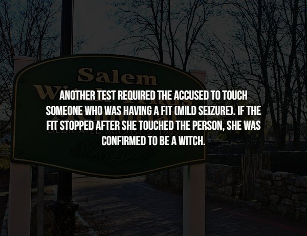 tree - Salem Another Test Required The Accused To Touch Someone Who Was Having A Fit Mild Seizure, If The Fit Stopped After She Touched The Person, She Was Confirmed To Be A Witch.