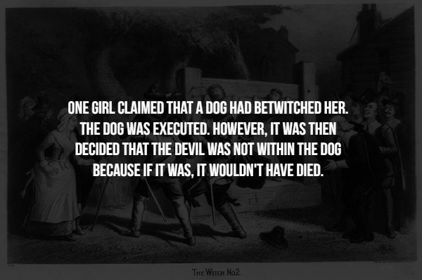 monochrome photography - One Girl Claimed That A Dog Had Betwitched Her The Dog Was Executed. However, It Was Then Decided That The Devil Was Not Within The Dog Because If It Was. It Wouldn'T Have Died. The Witch No2