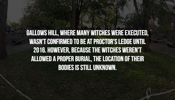 tree - Gallows Hill, Where Many Witches Were Executed. Wasn'T Confirmed To Be At Proctor'S Ledge Until 2016. However, Because The Witches Weren'T Allowed A Proper Burial, The Location Of Their Bodies Is Still Unknown.