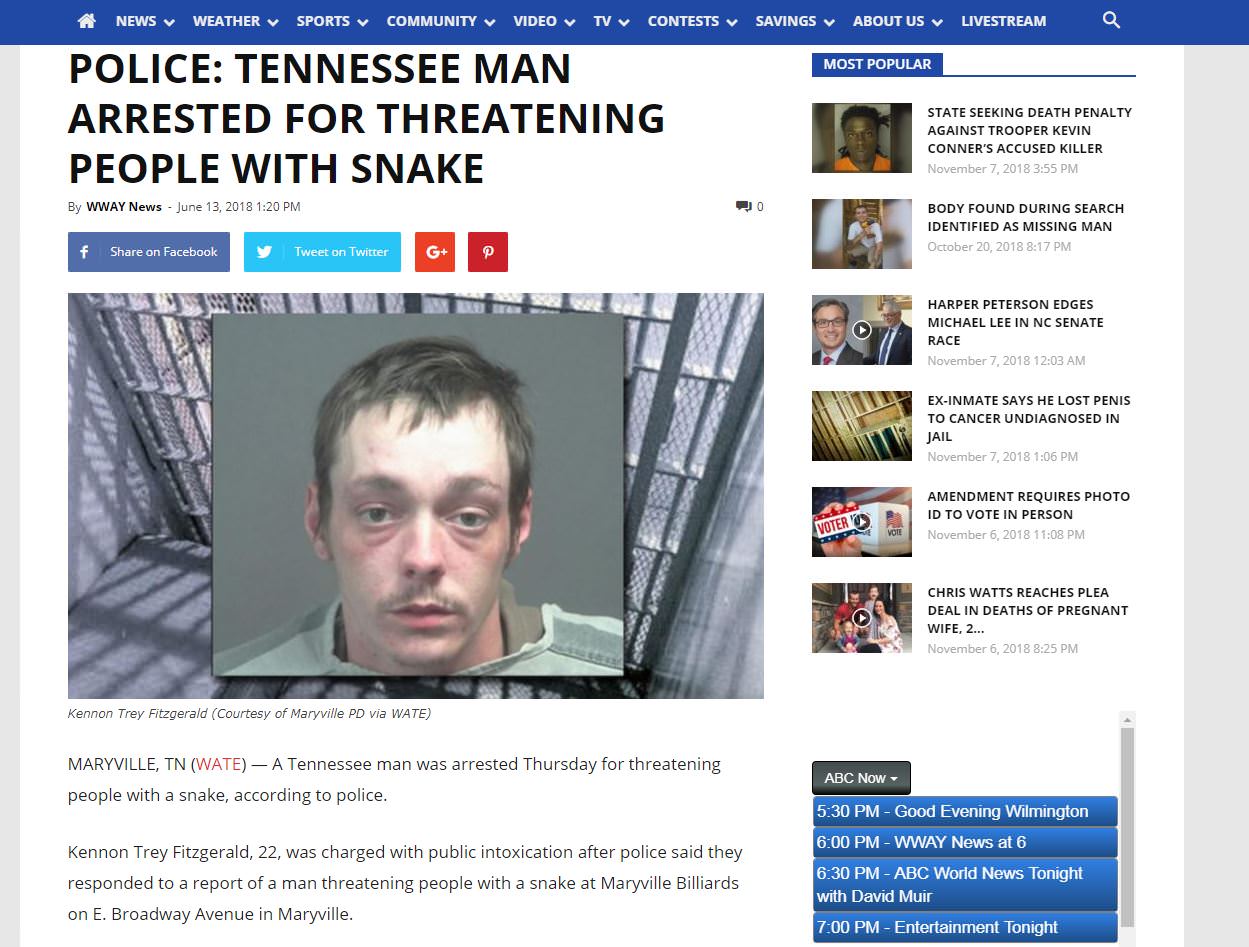 jail bars - News Weather Sports Community Video Tv Contests Savings About Us Livestream O Most Popular Police Tennessee Man Arrested For Threatening People With Snake State Seeking Death Penalty Against Trooper Kevin Conner'S Accused Killer By Wway News 2