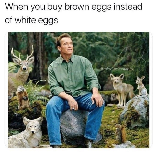 you bring your own bag - When you buy brown eggs instead of white eggs