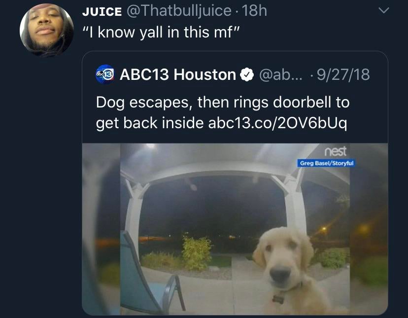 ring doorbell animal - Juice . 18h "I know yall in this mf" 13 ABC13 Houston ... 92718 Dog escapes, then rings doorbell to get back inside abc13.co2016bUq, nest Greg BaselStoryful