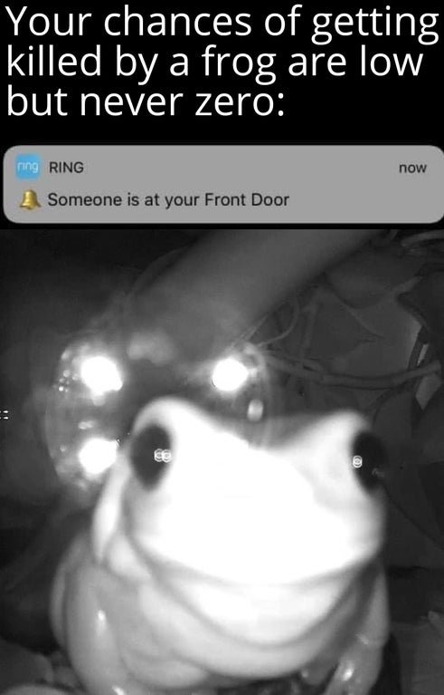 microsoft exchange server - Your chances of getting killed by a frog are low but never zero ring Ring now Someone is at your Front Door