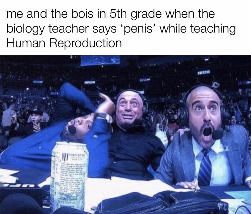 call of duty warzone memes - me and the bois in 5th grade when the biology teacher says 'penis' while teaching Human Reproduction