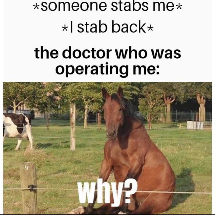 horse boy meme - someone stabs mex stab back the doctor who was operating me why?
