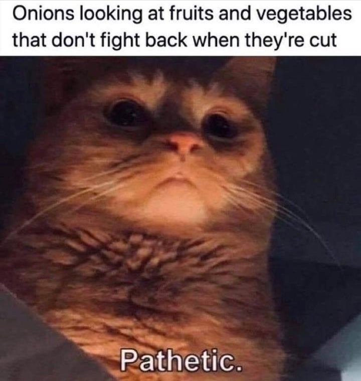 pathetic cat meme - Onions looking at fruits and vegetables that don't fight back when they're cut Pathetic.