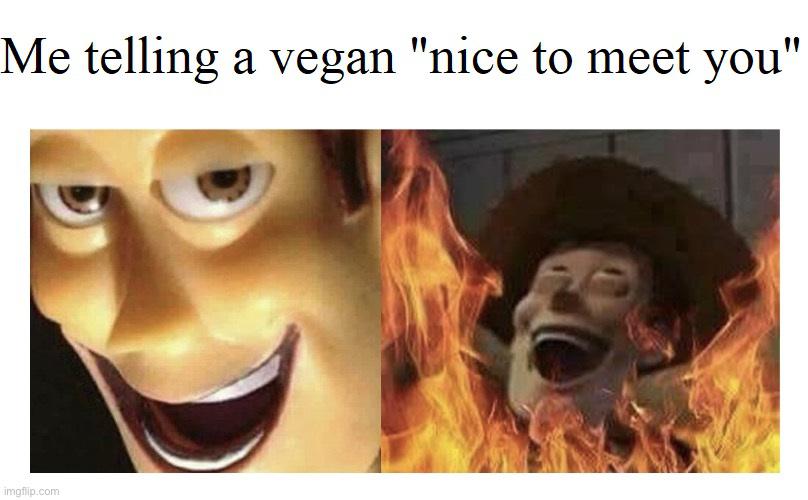 woody memes - Me telling a vegan "nice to meet you" imgflip.com