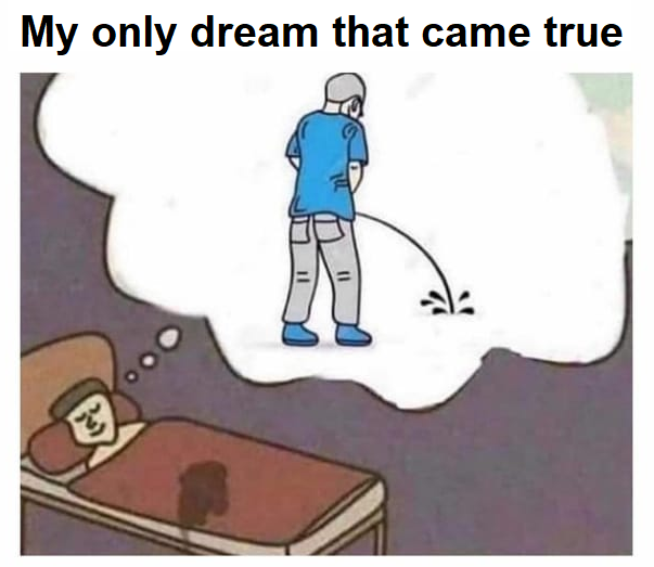 only dream that comes true memes - My only dream that came true