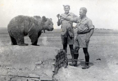 Wojtek The Artillery Bear