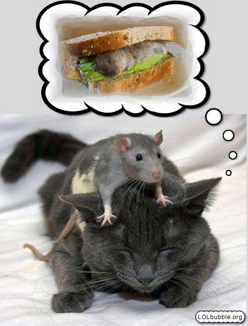 Mouse Sandwich