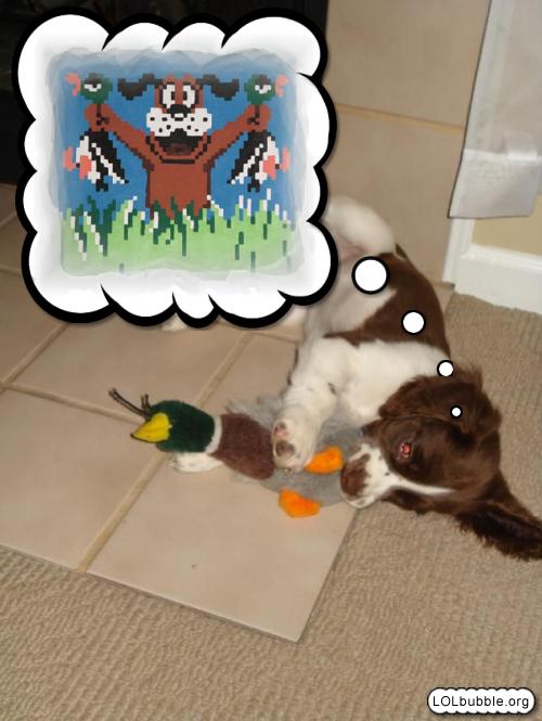 Duck hunt dog retires and dreams of glory
