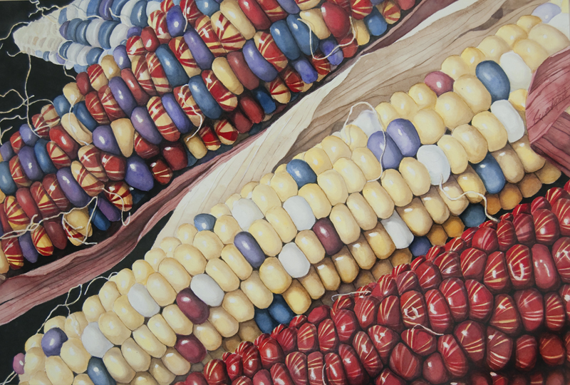 Painting of corn