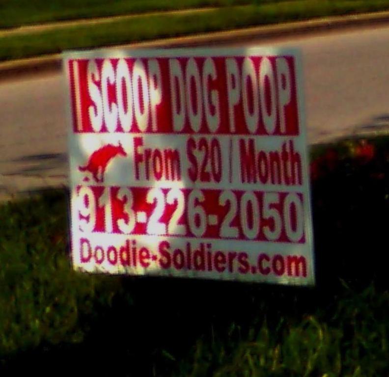 Were the dog and turd really necessary?