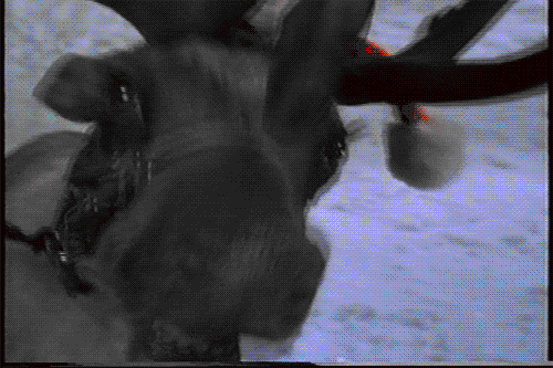 Gonzo's Christmas .GIF-t To You! (part 1)