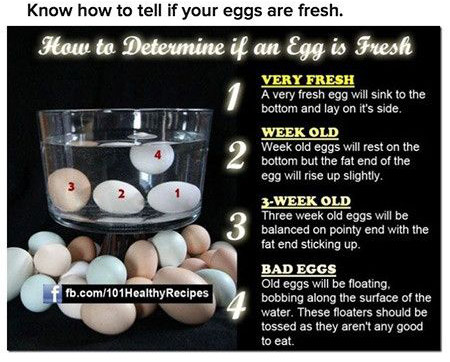 good vs bad egg - Know how to tell if your eggs are fresh. How to Determine if an Egg is Fresh Very Fresh A very fresh egg will sink to the bottom and lay on it's side. Week Old Week old eggs will rest on the bottom but the fat end of the egg will rise up