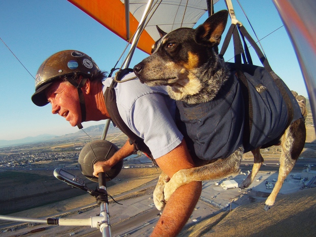 Dan McManus and his service dog Shadow hang-glide together outside Salt Lake City, Utah, in July.