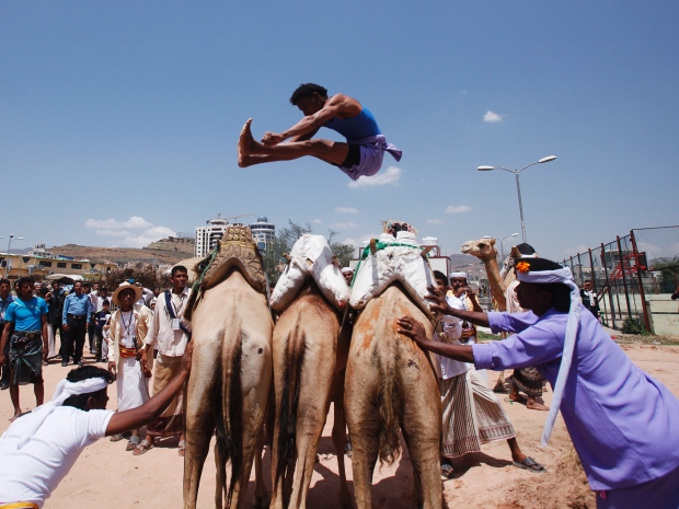 A Bedouin man jumps over camels during the Sanaa Summer Festival in Sanaa. The two-week festival aims to stimulate domestic tourism and reassure local and international tourists of Yemen's stability.