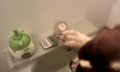 turning off sink gif