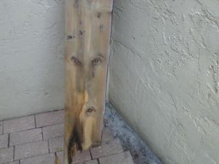 Evil Plank