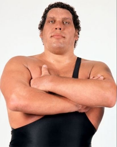 Andre The Giant passed away on Jan. 27, 1993, after suffering a heart attack.  He was 46.