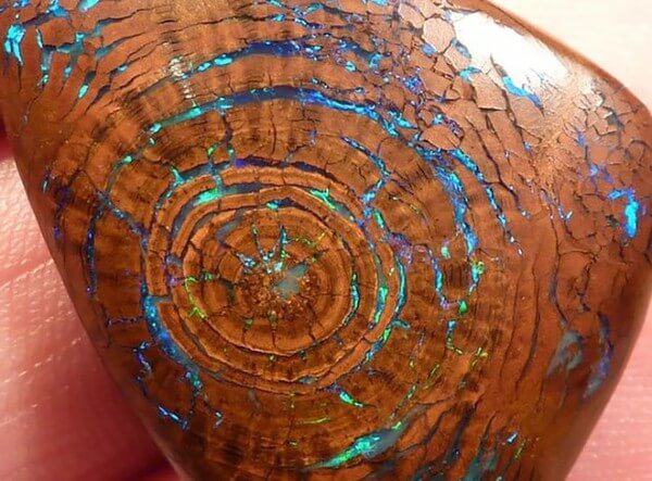 amazing minerals and crystals - petrified wood opal