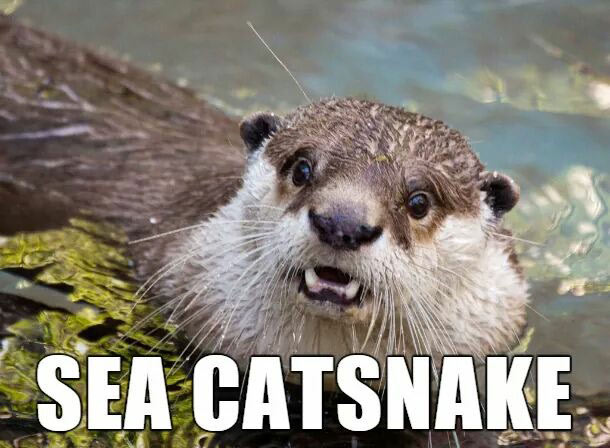 shocked otter - Sea Catsnake