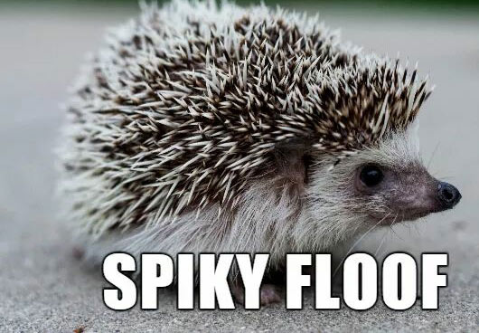 alternate animal names - Spiky Floof