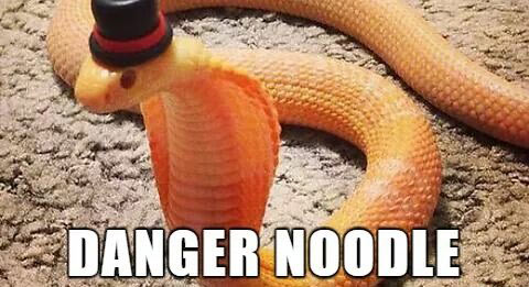 danger noodle - Danger Noodle