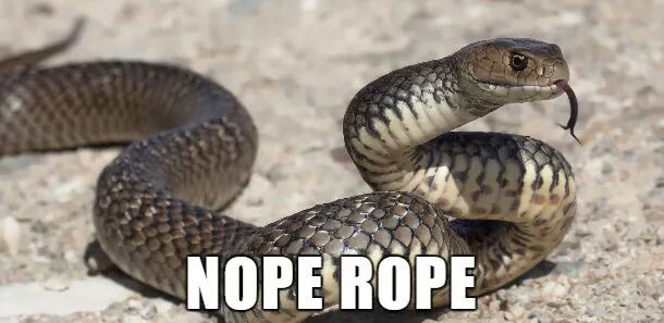 snake australian - Nope Rope