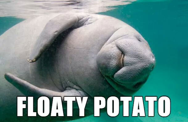 if i named animals - Floaty Potato