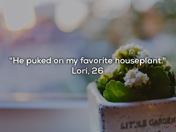 22 One-Night-Stand Fails Described In Six Words Or Less