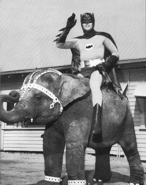 Adam West as Batman riding an elephant and waving.
