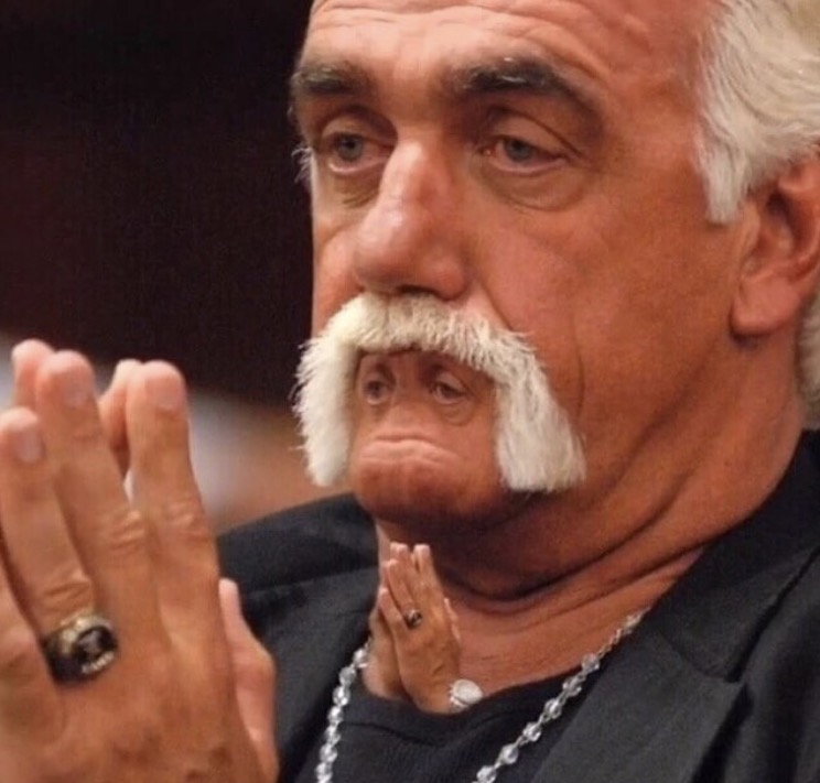 Hulk Hogan infinity render