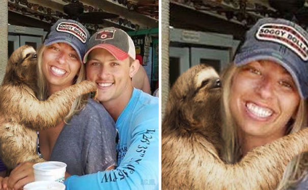 sloth photoshopped into the pic of the couple