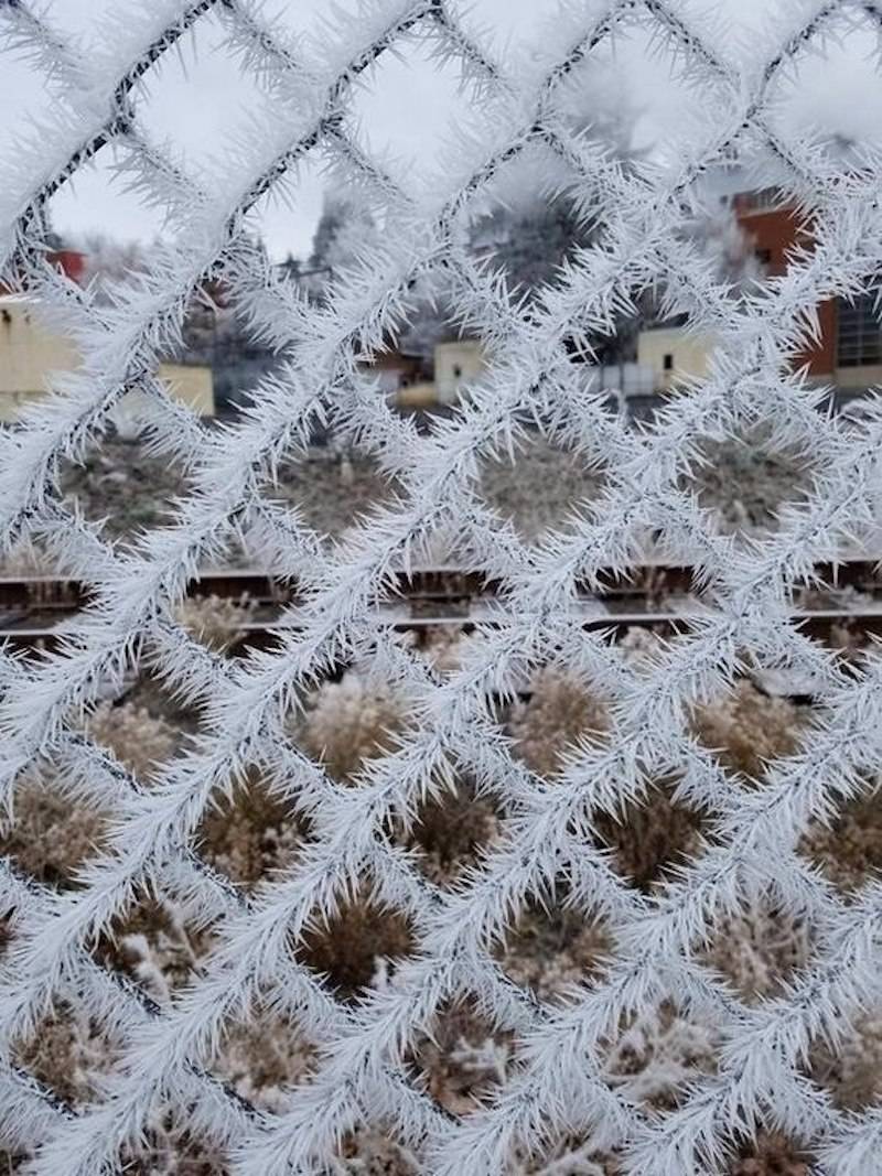 frost on a fence