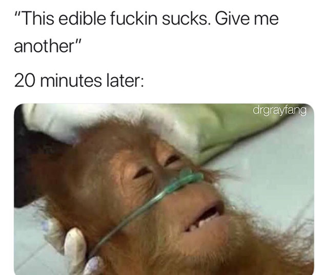 tequila meme - "This edible fuckin sucks. Give me another" 20 minutes later drgrayfang