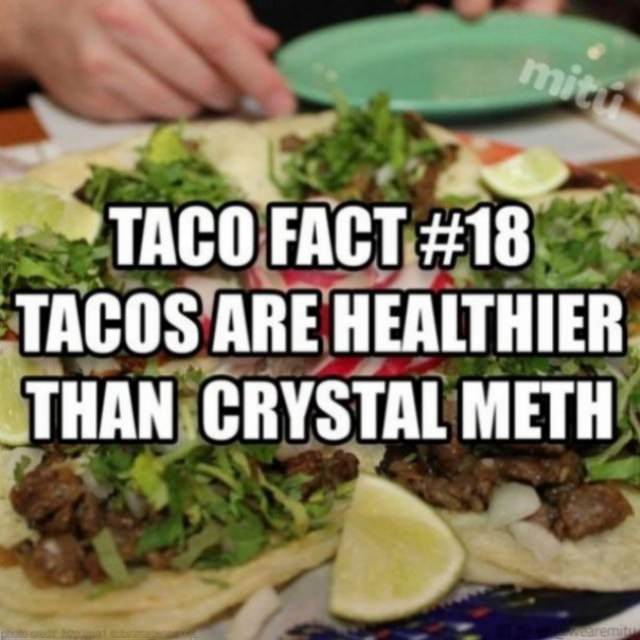 taco fact meme - Taco Fact Tacos Are Healthier Than Crystal Meth