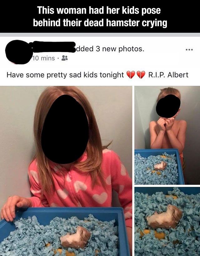 trashy people - meme crying hamster - This woman had her kids pose behind their dead hamster crying Sdded 3 new photos. 0 mins Have some pretty sad kids tonight R.I.P. Albert