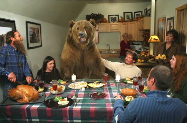 thanksgiving memes - grizzly bear -