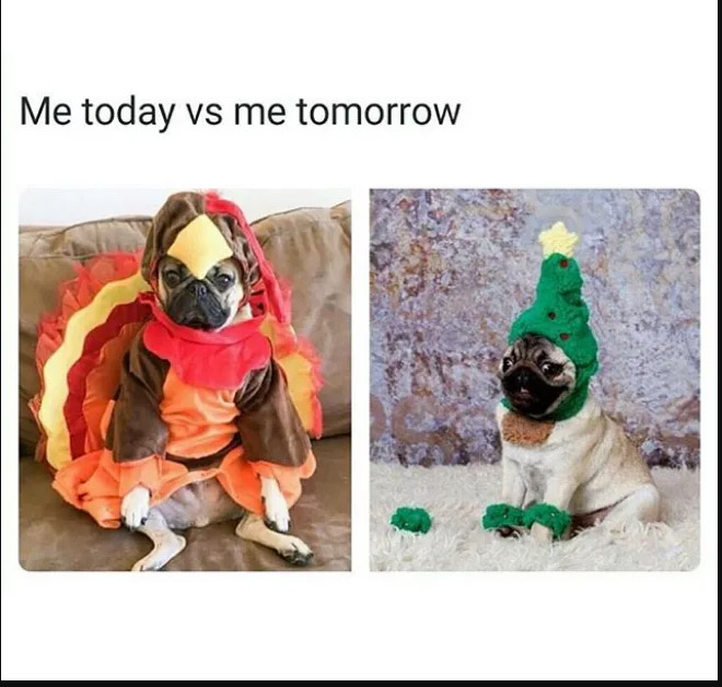 thanksgiving memes - funny thanksgiving memes - Me today vs me tomorrow