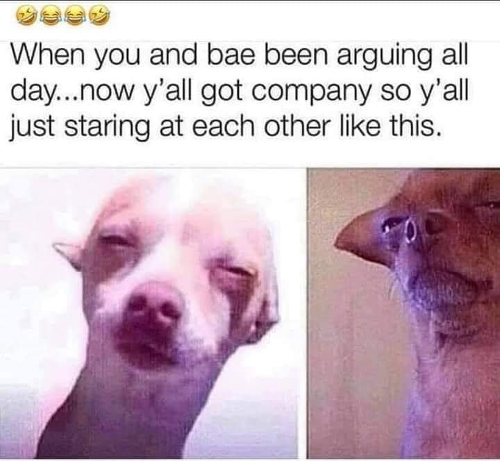 monday morning randomness - photo caption - When you and bae been arguing all day...now y'all got company so y'all just staring at each other this.