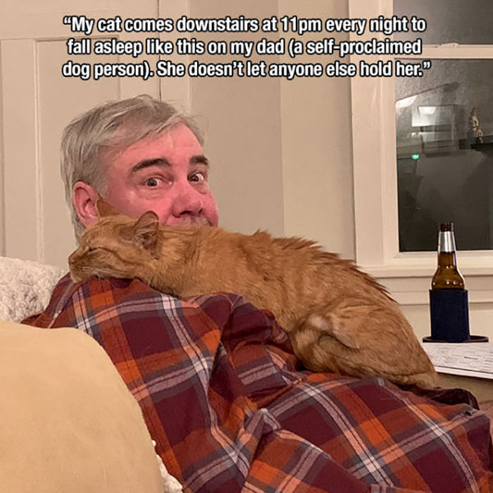 wholesome memes and pics - wholesome cat memes dad - "My cat comes downstairs at 11pm every night to fall asleep this on my dad a selfproclaimed dog person. She doesn't let anyone else hold her."