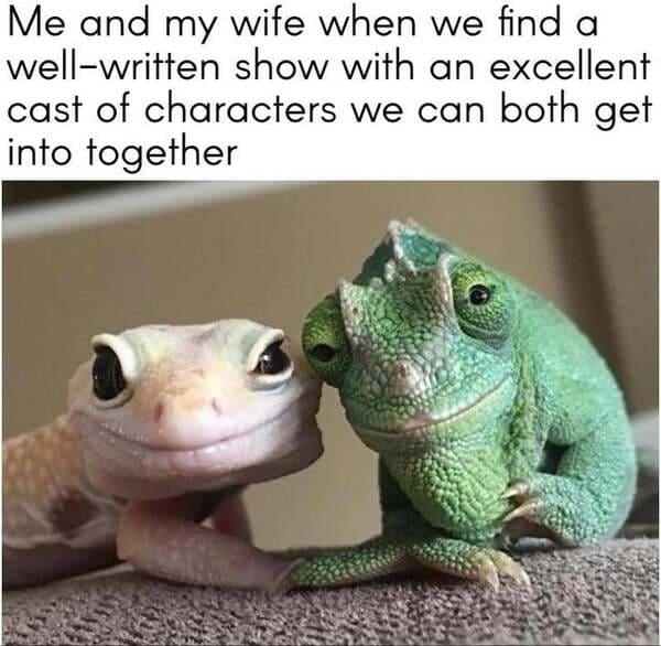 wholesome memes and pics - wholesome memes for aunt - Me and my wife when we find a wellwritten show with an excellent cast of characters we can both get into together