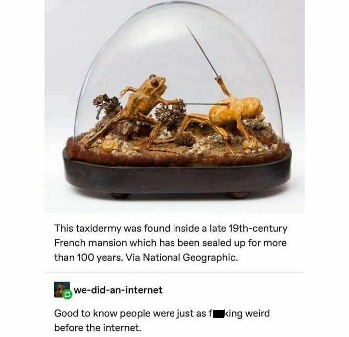 history memes - frog sword fight taxidermy - This taxidermy was found inside a late 19thcentury French mansion which has been sealed up for more than 100 years. Via National Geographic. wedidaninternet Good to know people were just as f king weird before 