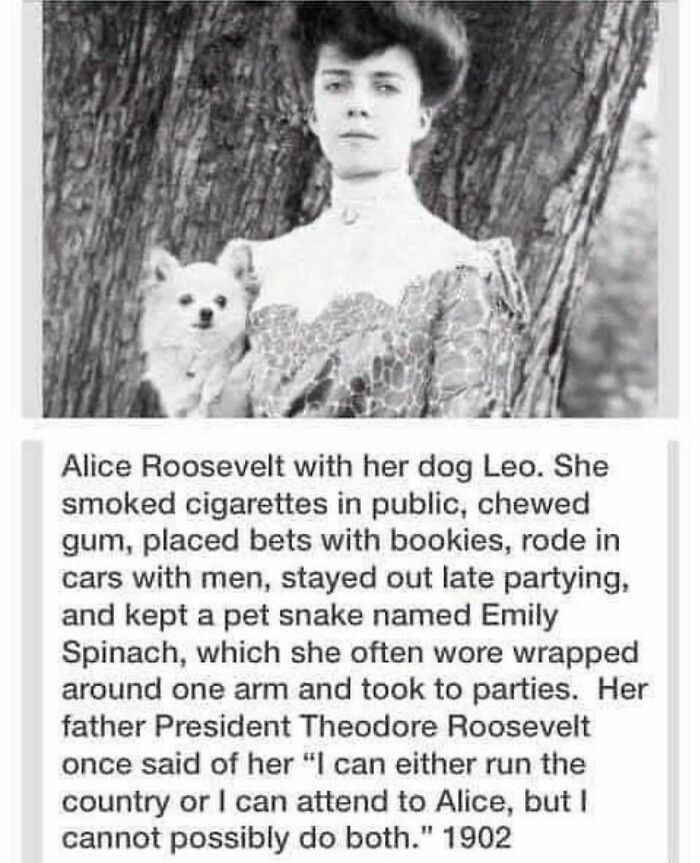 history memes - alice roosevelt meme - Alice Roosevelt with her dog Leo. She smoked cigarettes in public, chewed gum, placed bets with bookies, rode in cars with men, stayed out late partying, and kept a pet snake named Emily Spinach, which she often wore