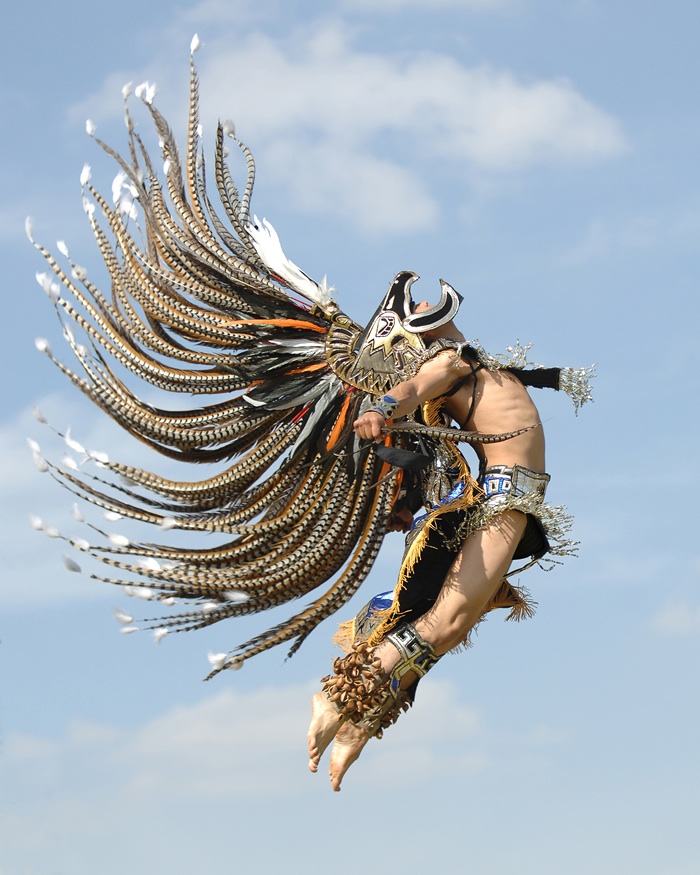 fascinating photos - aztec hawk