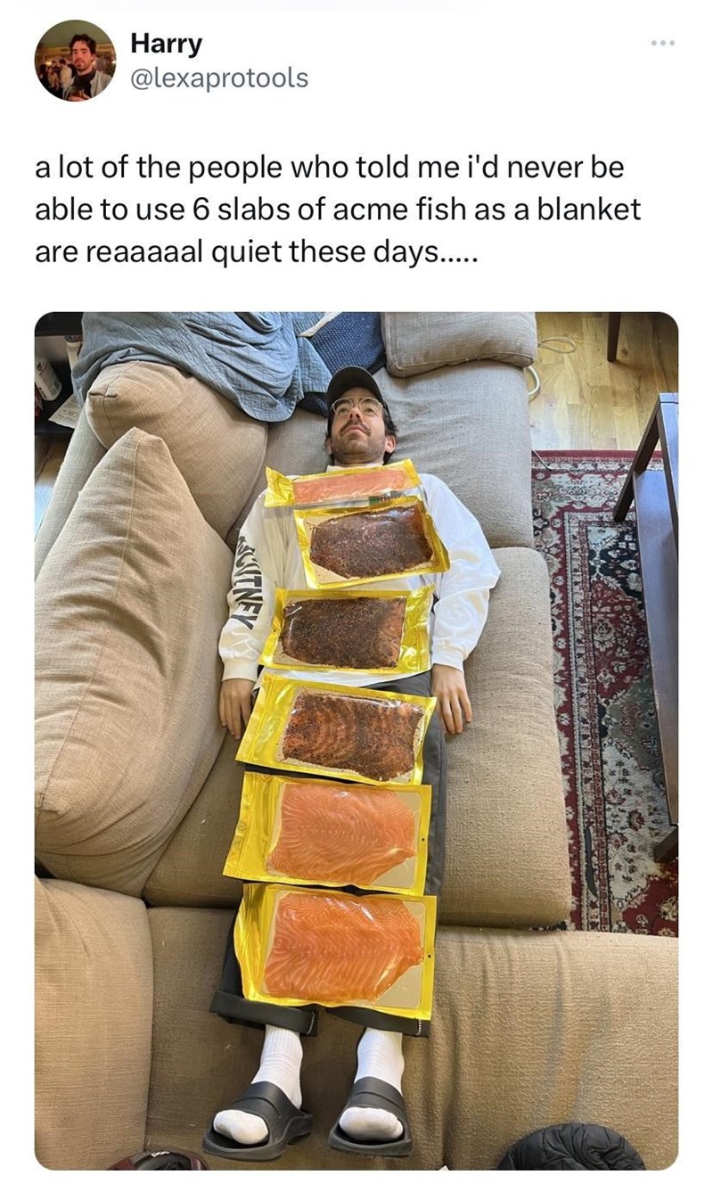 funny memes and randoms - shoulder - Harry a lot of the people who told me i'd never be able to use 6 slabs of acme fish as a blanket are reaaaaal quiet these days..... Cutney