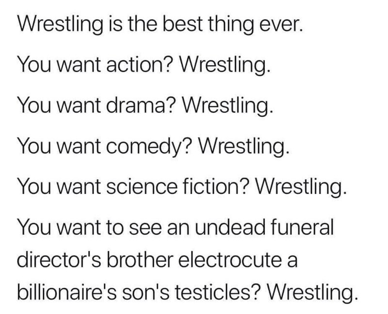funny memes and randoms - angle - Wrestling is the best thing ever. You want action? Wrestling. You want drama? Wrestling. You want comedy? Wrestling. You want science fiction? Wrestling. You want to see an undead funeral director's brother electrocute a 