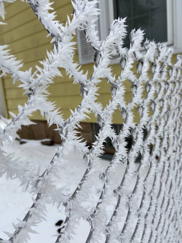 The way these ice spikes form on this chain-link fence when its cold enough.