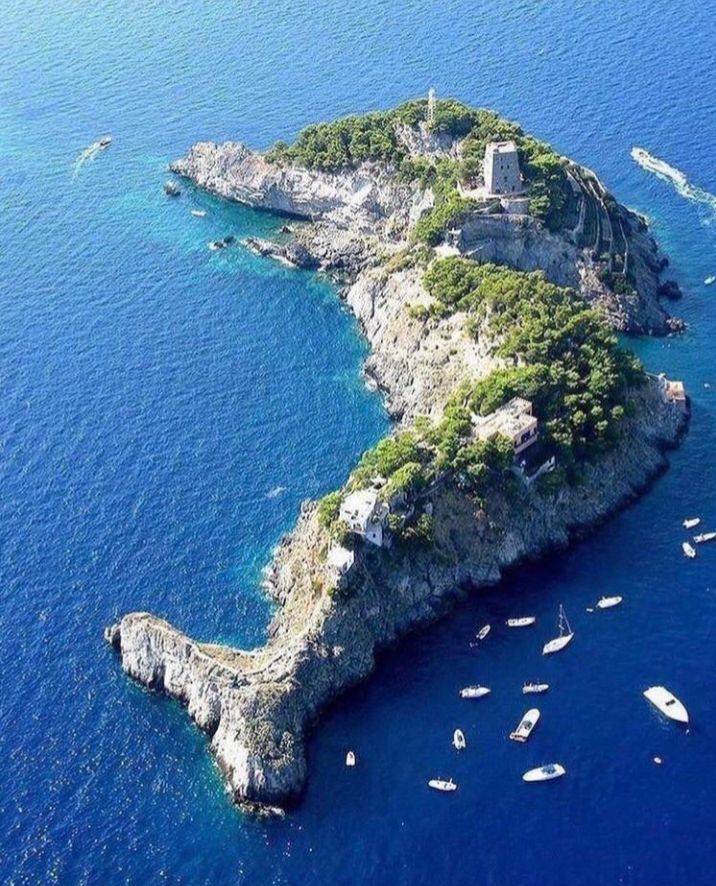 This naturally dolphin-shaped island in Italy.